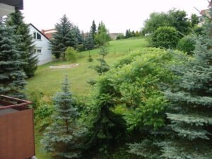 big_DSC05056