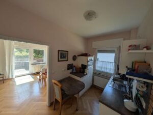 big_14_Einliegerbereich_Kueche_Wohnzimmer