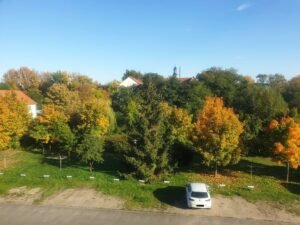 big_20221012_154407