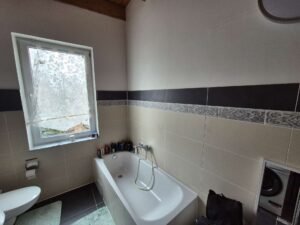 big_20260224_101453