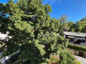 big_20260814_160852